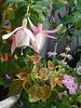 Netgarden > NetGardens photo