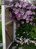 Netgarden > NetGardens photo