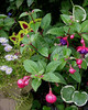Netgarden > NetGardens photo