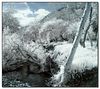 Netgarden > Near Irvine Lake, Holy Jim canyon and the wild sanctuary.