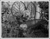 Netgarden > 2005 Garden photo