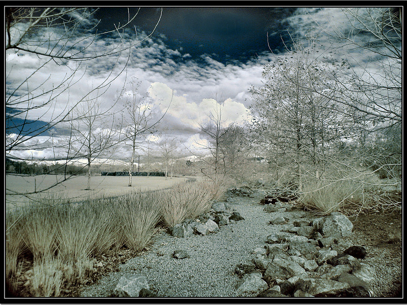 Netgarden > Landscapes, Panoramas and long exposures 2007 photo