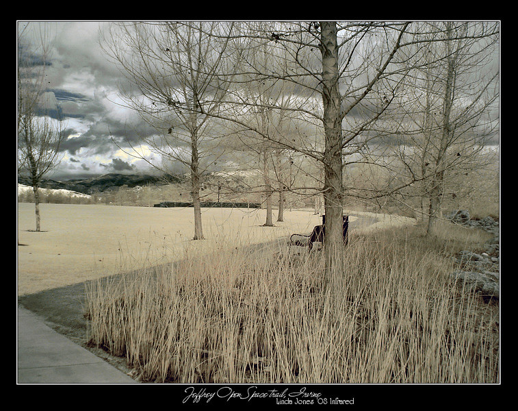 Netgarden > Infrared after the storm