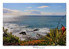 Netgarden > Landscapes, Sunsets and HDR '08 photo