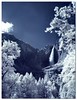 Yosemite Infrared : 