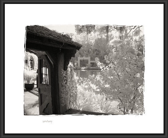 Netgarden > Sony Infrared photo, r72 filter with a ND8. Some information about Infrared processing in the gallery Comments here:
http://netgarden.smugmug.com/gallery/284473